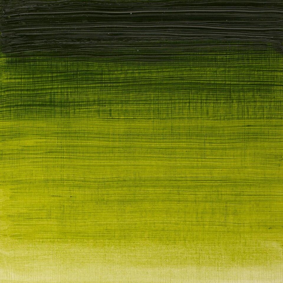 WINSOR & NEWTON WINTON OIL COLOUR 37ML SAP GREEN
