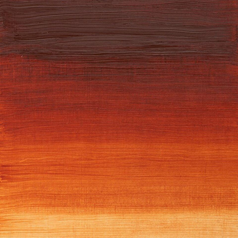 WINSOR & NEWTON WINTON OIL COLOUR 37ML BURNT SIENNA