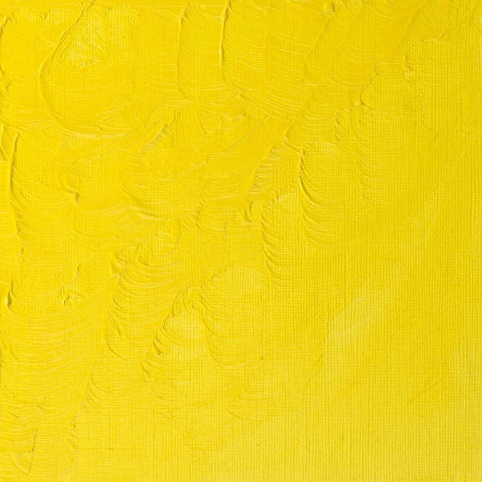WINSOR & NEWTON WINTON OIL COLOUR 37ML LEMON YELLOW HUE