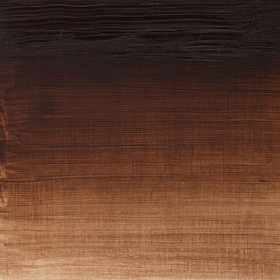 WINSOR & NEWTON WINTON OIL COLOUR 37ML BURNT UMBER