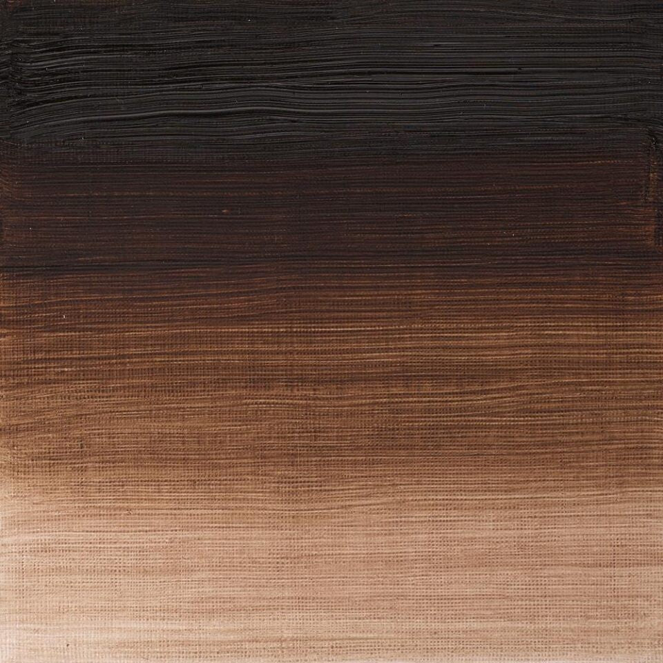 WINSOR & NEWTON WINTON OIL COLOUR 37ML VANDYKE BROWN