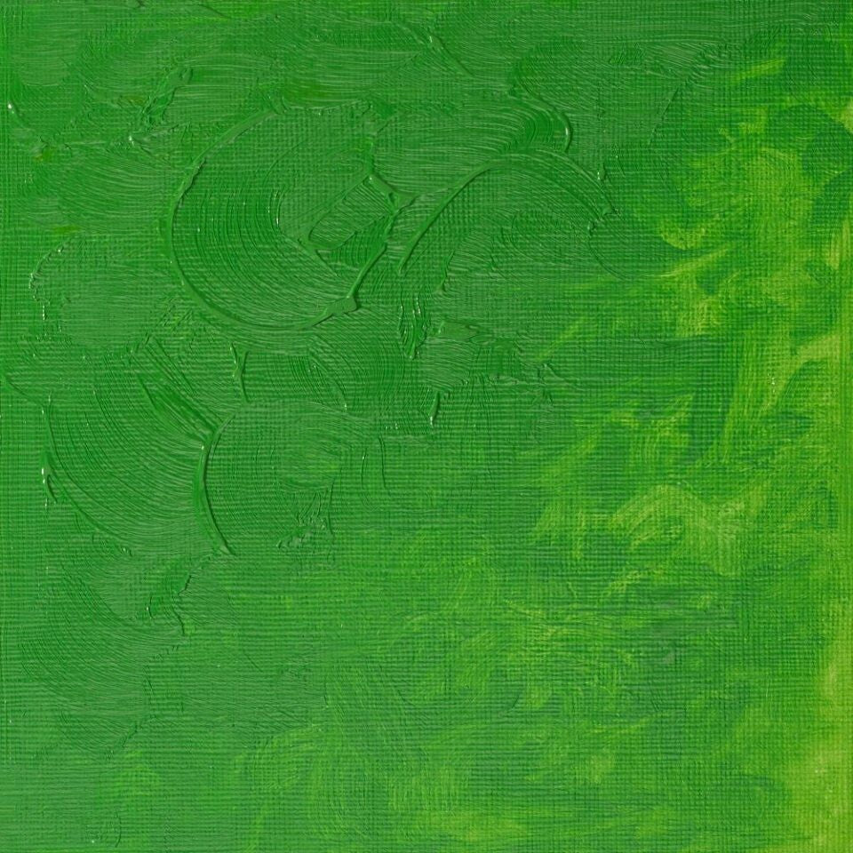WINSOR & NEWTON WINTON OIL COLOUR 37ML PERMANENT GREEN LIGHT