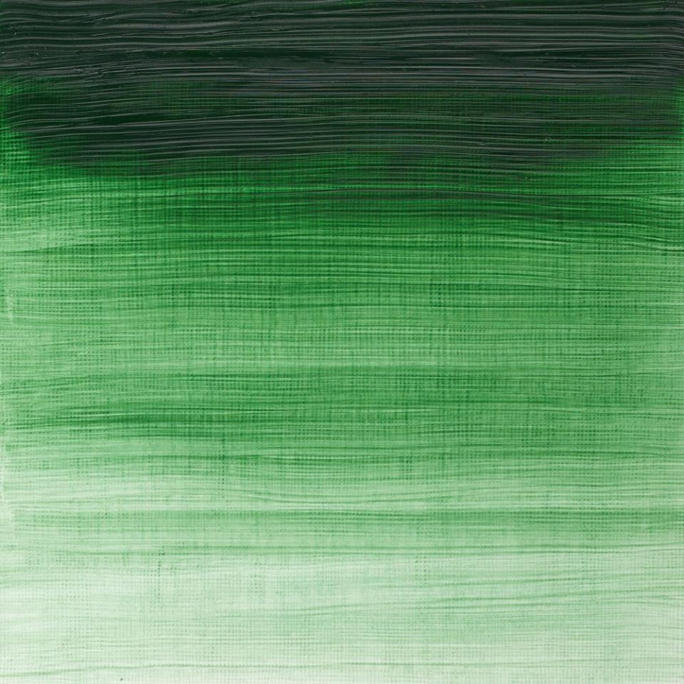 WINSOR & NEWTON WINTON OIL COLOUR 37ML TERRE VERTE