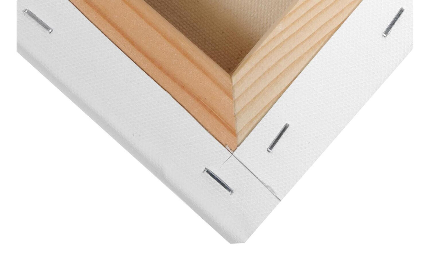 ART ADVANTAGE PRO CANVAS WIDE WALL 8X10