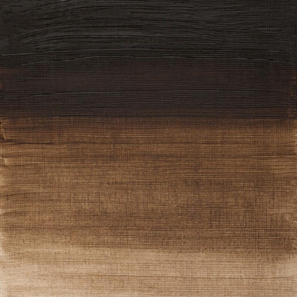 WINSOR & NEWTON WINTON OIL COLOUR 37ML RAW UMBER