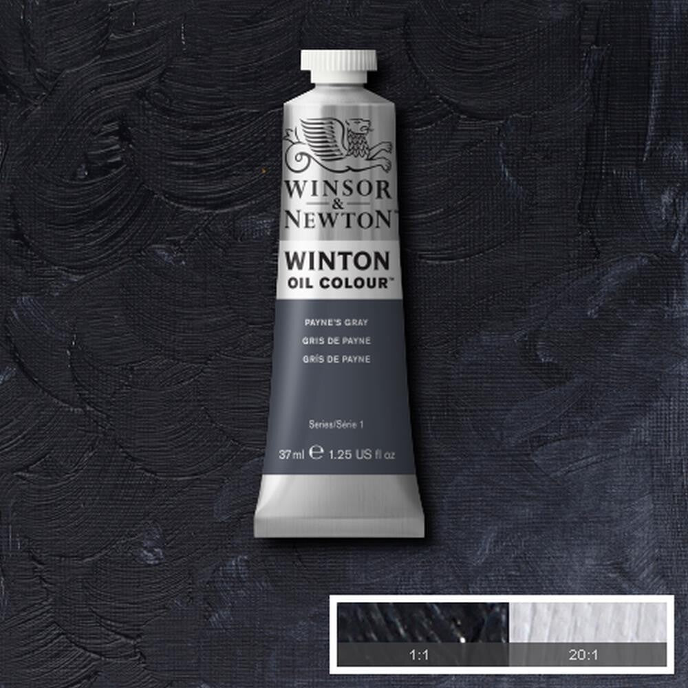 WINSOR & NEWTON WINTON OIL COLOUR 37ML PAYNES GRAY